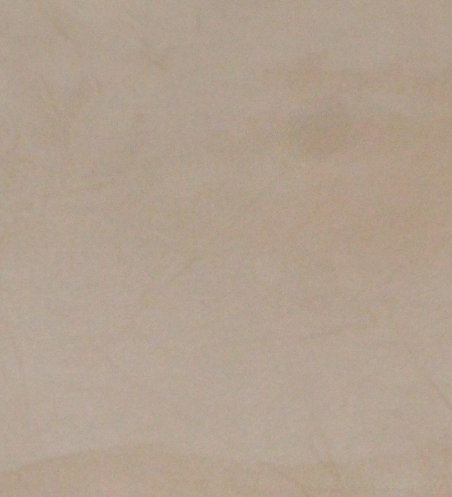 Veda Upholstered Bench (Beige)